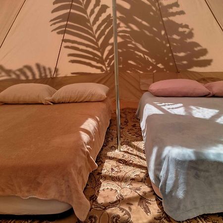 Agartha Mountain Retreat Hostel Boquete Εξωτερικό φωτογραφία