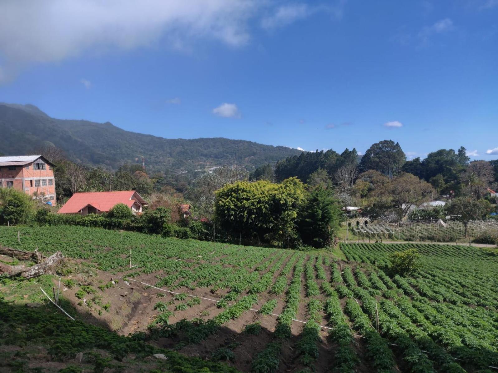 Agartha Mountain Retreat Hostel Boquete Εξωτερικό φωτογραφία